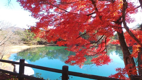 1105五色沼の紅葉.jpg