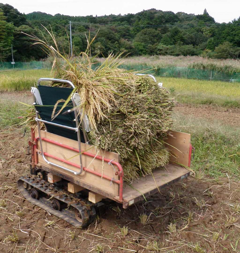 白煙に包まれる運搬車 定年後 田舎作って コメ野菜 白煙に包まれる運搬車 定年後 田舎作って コメ野菜