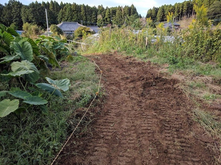 1008進入路1