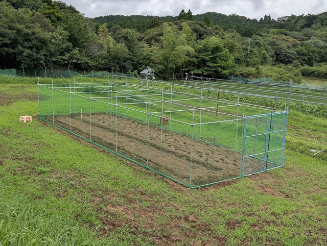 0704防獣シェルター壁網張り２