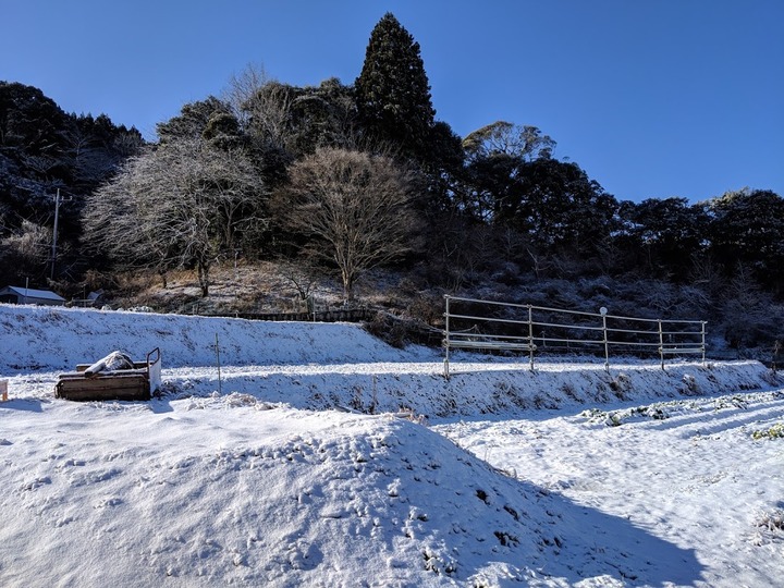 0201雪景色２