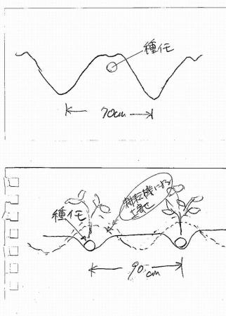 4a601e25.jpg