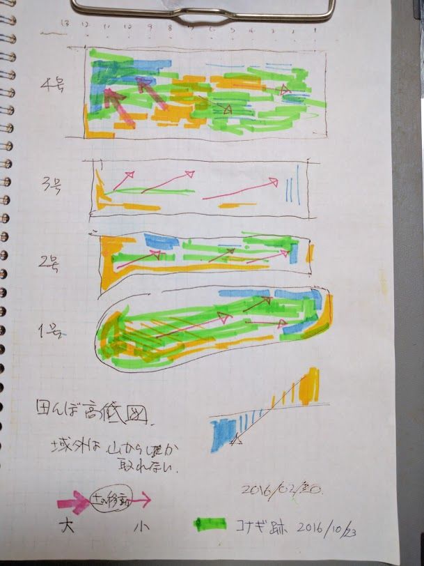 1024コナギ発生箇所