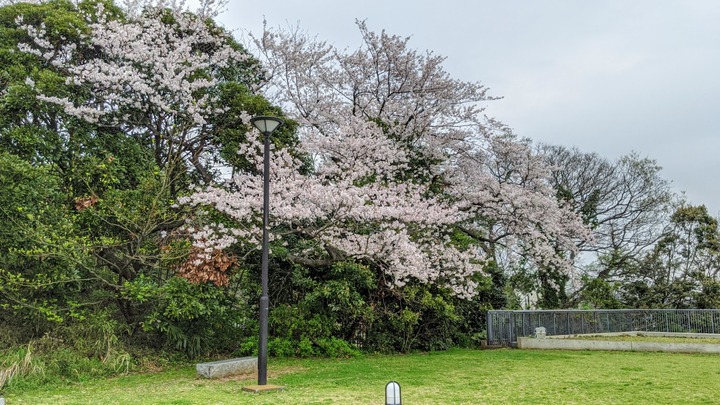 0331山頂公園０