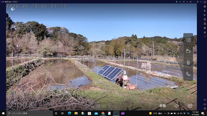 0412田んぼの様子