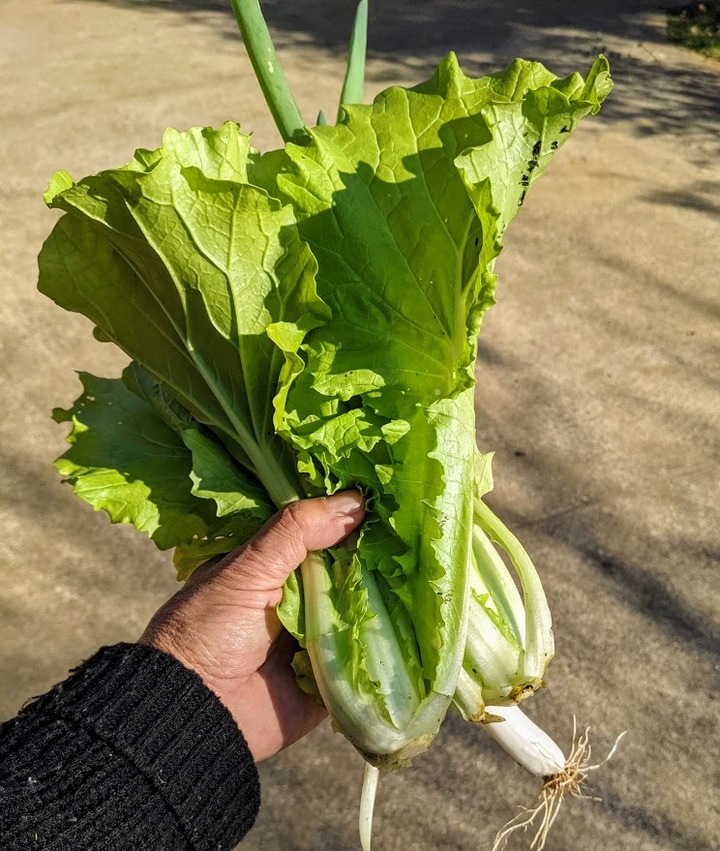 1204昼の支度