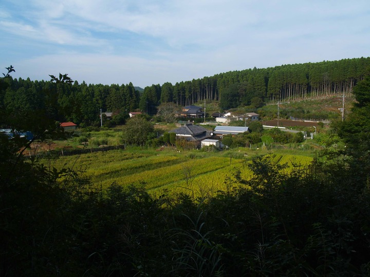 山からの農場黄金版