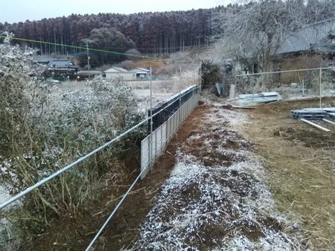 0213境界柵3.jpg