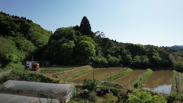 0507田植え後の田んぼ