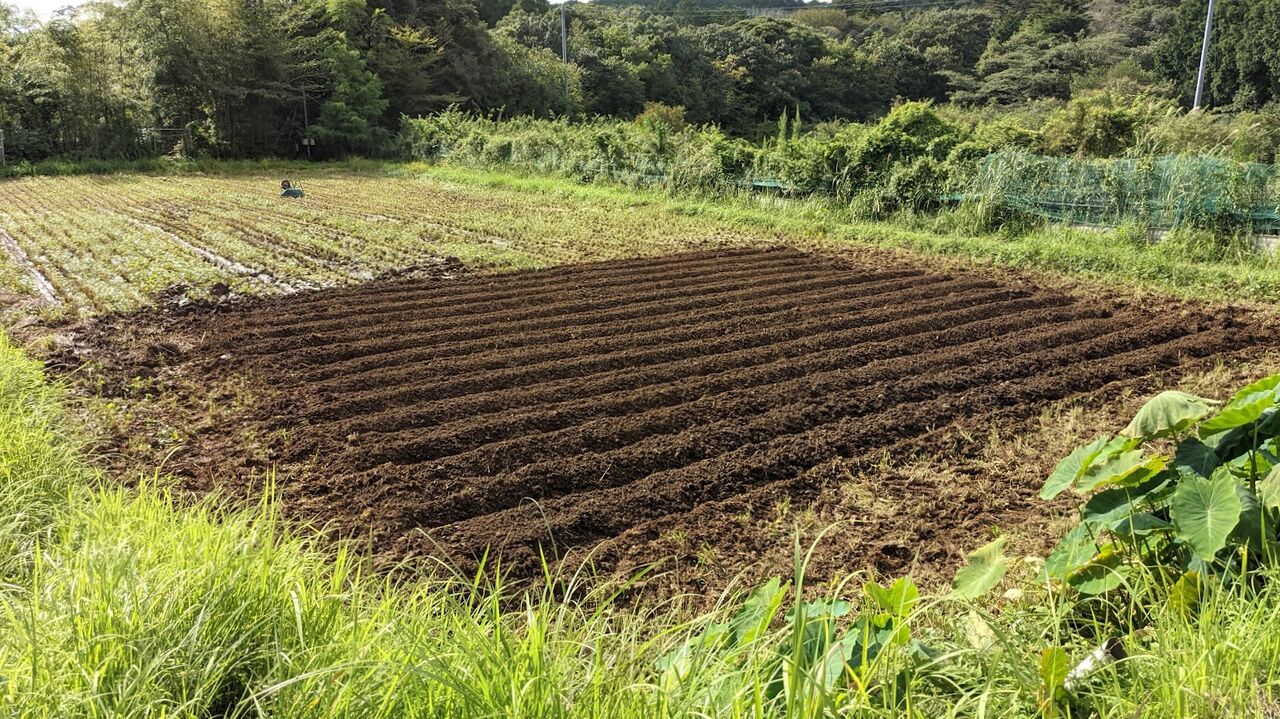 次の準備に入る 定年後 田舎作って コメ野菜 次の準備に入る 定年後 田舎作って コメ野菜