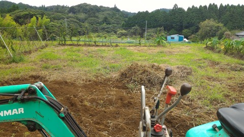 0827草の始末.jpg