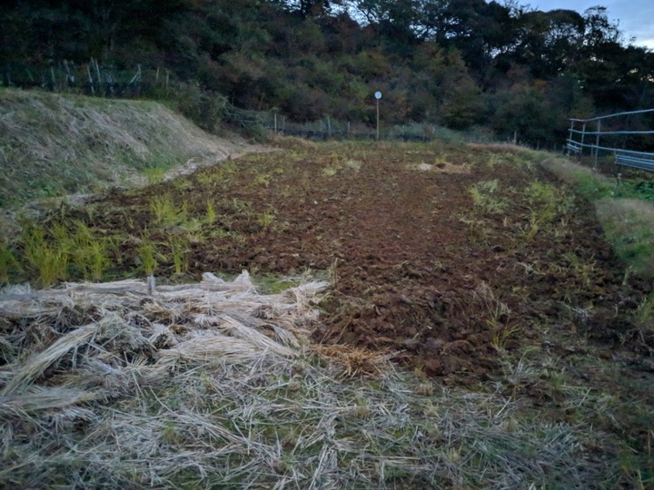 1121田んぼ1号