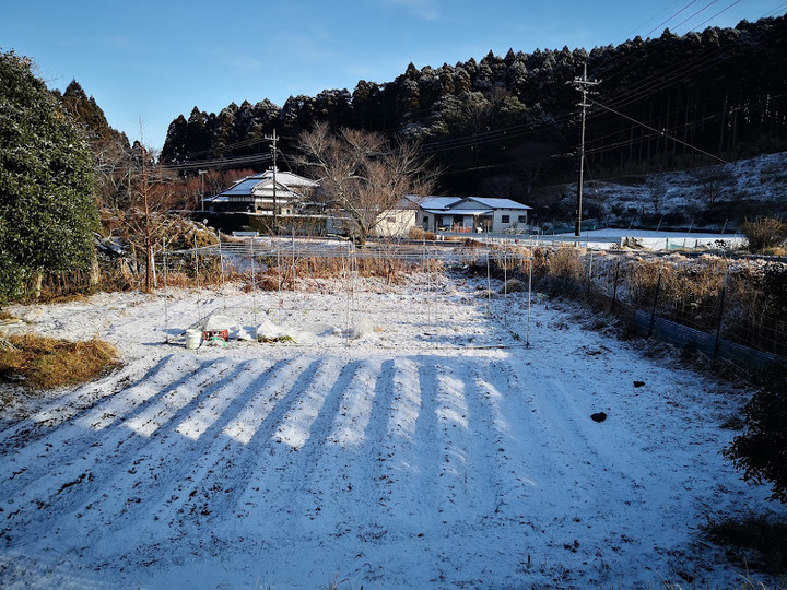 0106雪の農場2