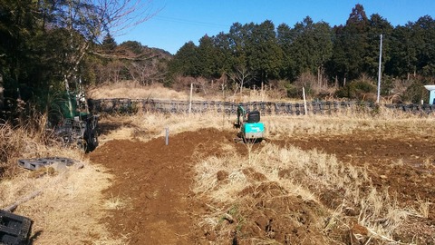 0121田んぼ拡大前.jpg