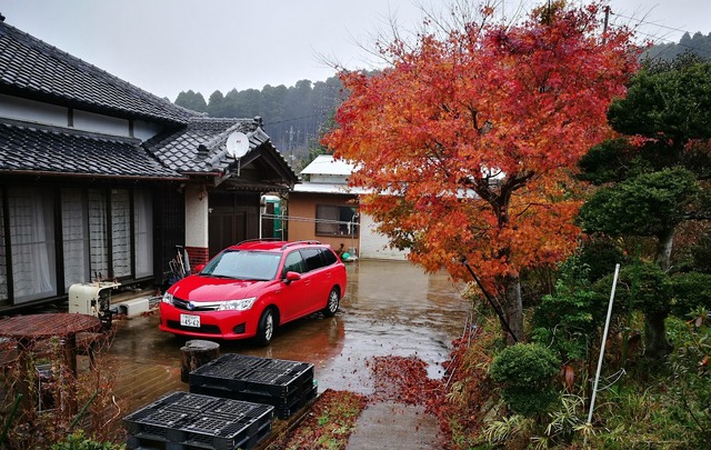 0808庭の紅葉