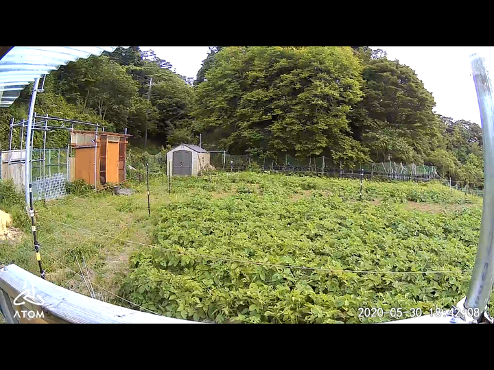 0530山