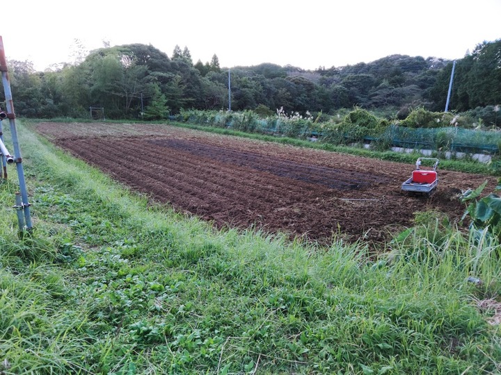 0929田んぼ4号