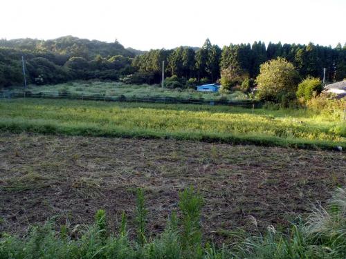 7a03d649.jpg