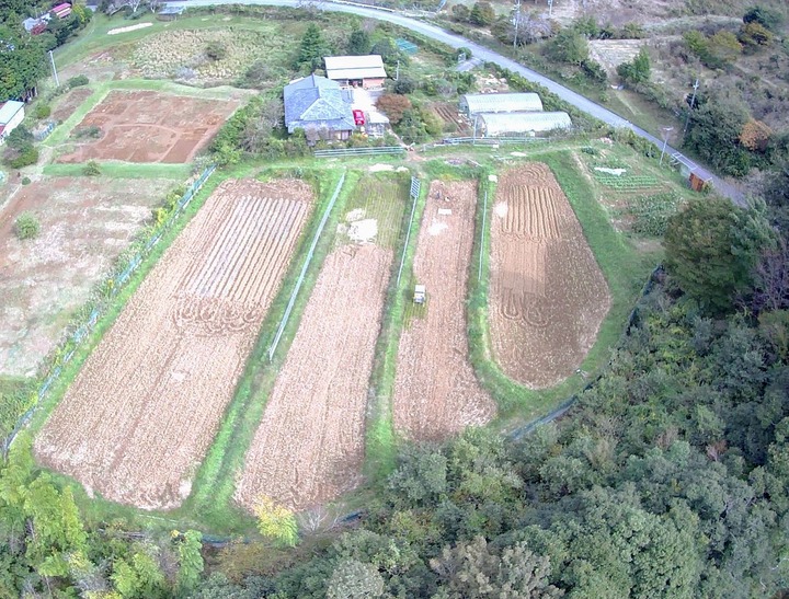 1022西から見た農場