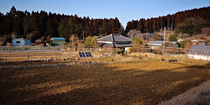 0218田起こし1
