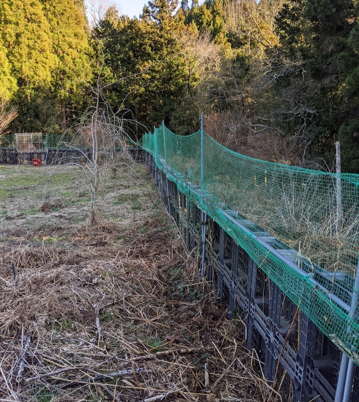 0130正常な柵