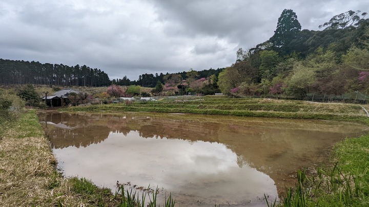 0623山の農場