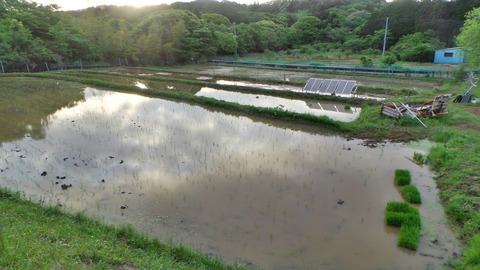 0512田植え8割終了.jpg