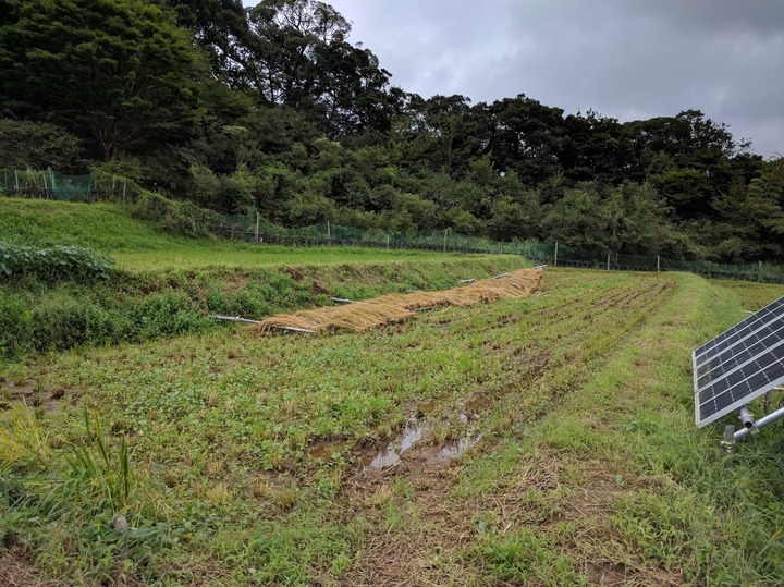 0921田んぼ2号稲架トラブル