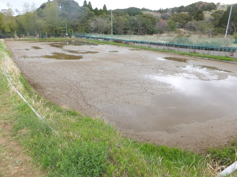0413足跡3.JPG