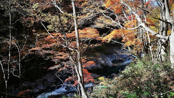 1027中津川渓谷0