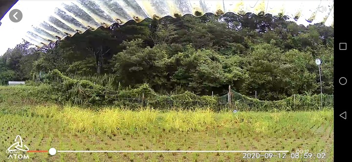 0912山側監視画像