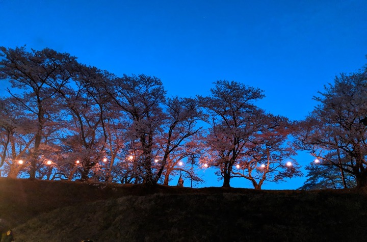 0418滝桜周辺1