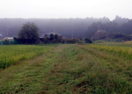 be1ecf75.jpg