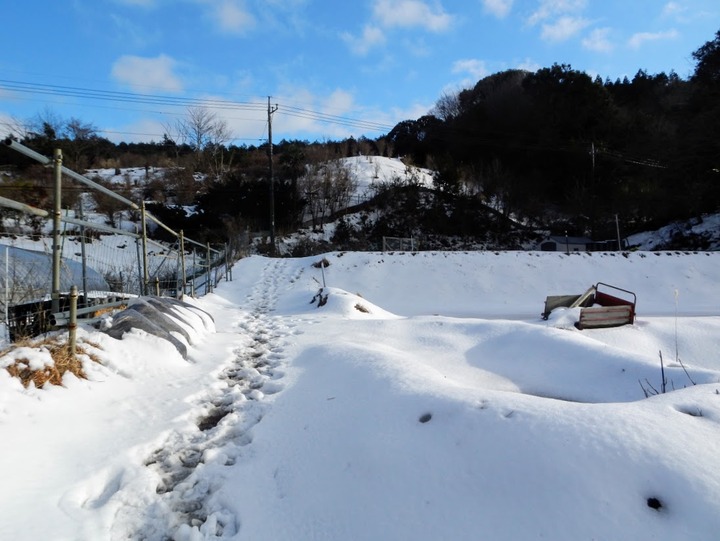0208前の大雪