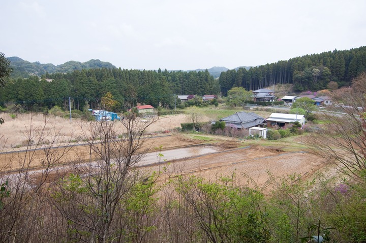 うちの山からみた農場