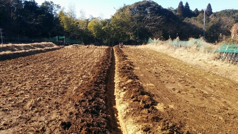 1221暗渠4号田んぼ.jpg