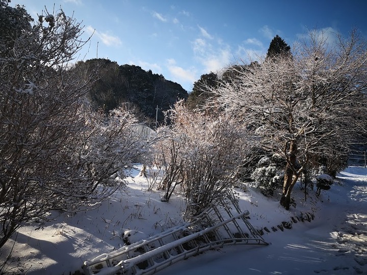 0123雪景色1