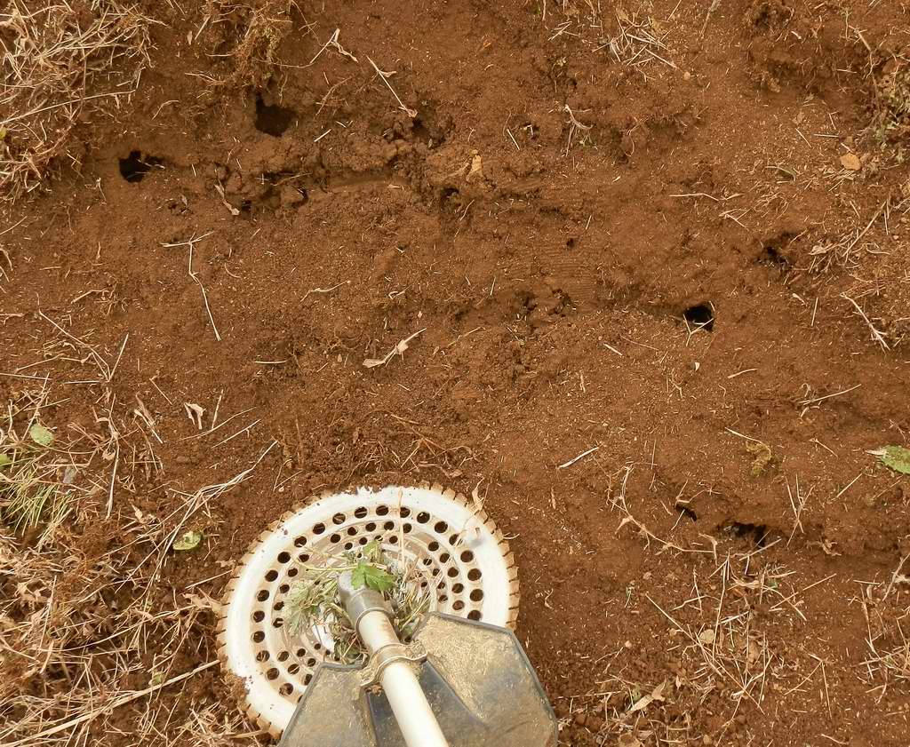 田んぼの土手にモグラの穴発見 定年後 田舎作って コメ野菜 田んぼの土手にモグラの穴発見 定年後 田舎作って コメ野菜