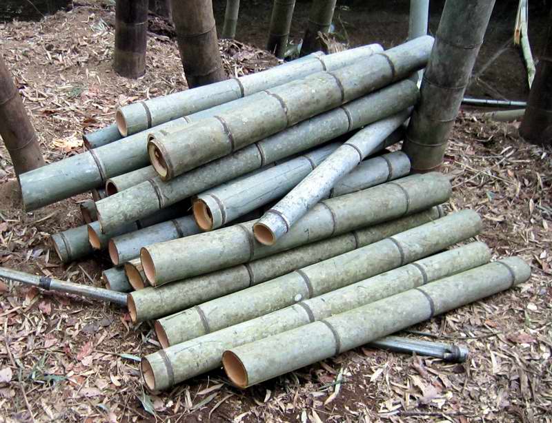 今日も竹藪にて作業 定年後 田舎作って コメ野菜 今日も竹藪にて作業 定年後 田舎作って コメ野菜