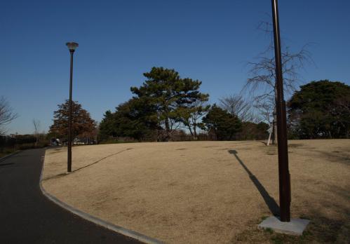ca42f673.jpg