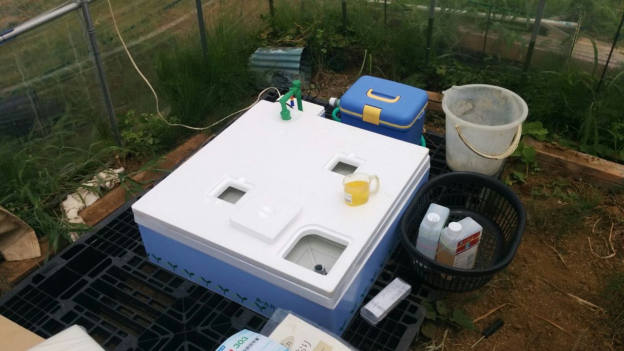 水耕栽培実験設備の現況 定年後 田舎作って コメ野菜 水耕栽培実験設備の現況 定年後 田舎作って コメ野菜