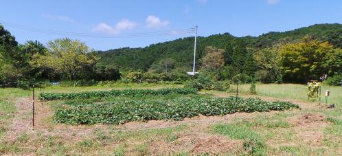 d1dfc375.jpg