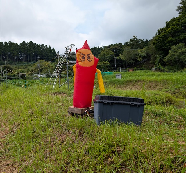 0816バルーンカカシ