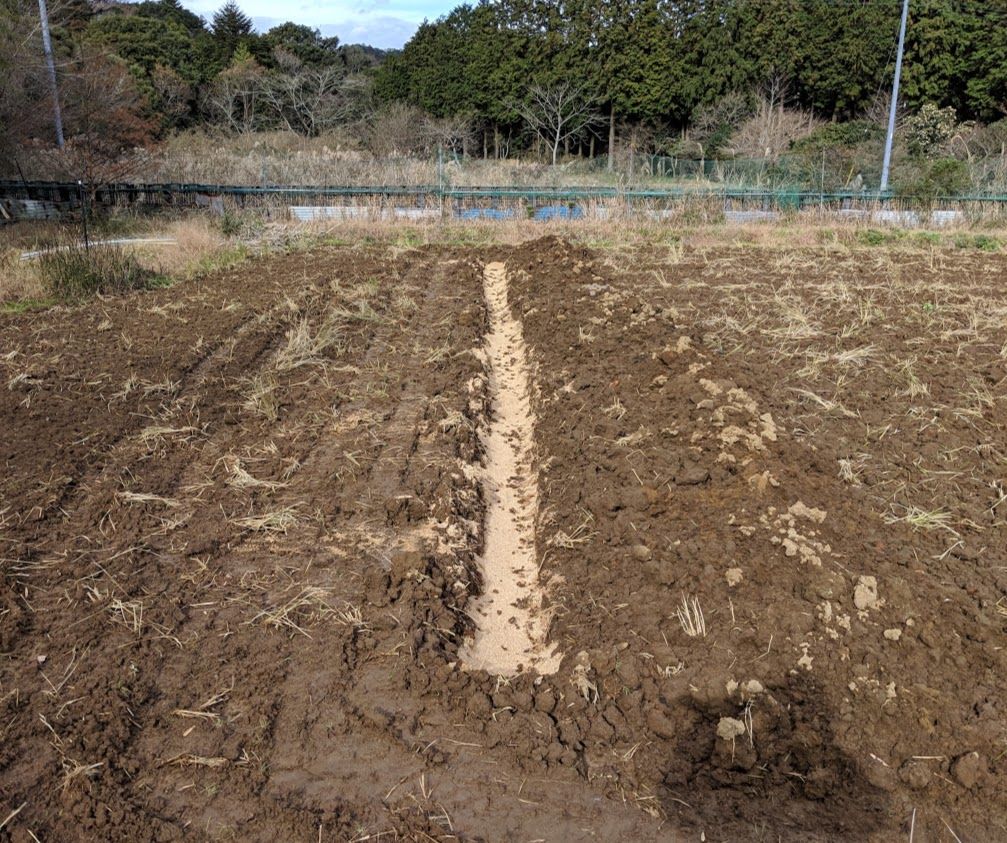 暗渠の埋戻し完了 : 定年後・田舎作って・コメ野菜