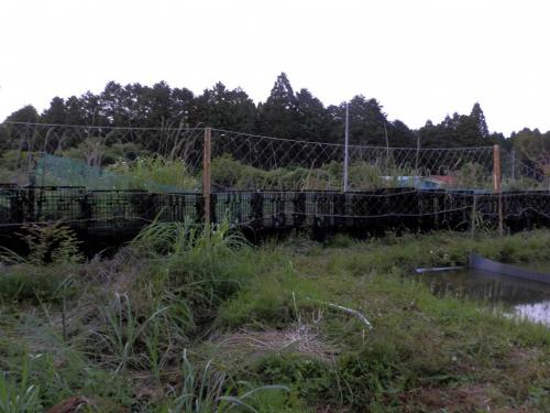 d5a961c5.jpg