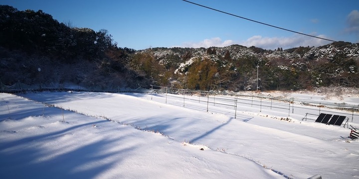 0123雪景色2