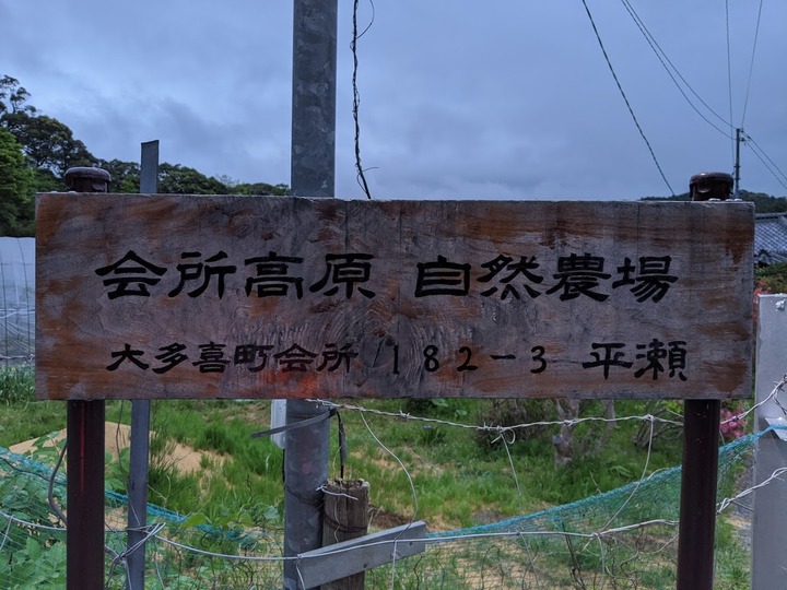 0510会所高原3