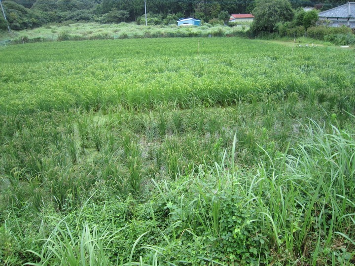 0821-20110821.jpg