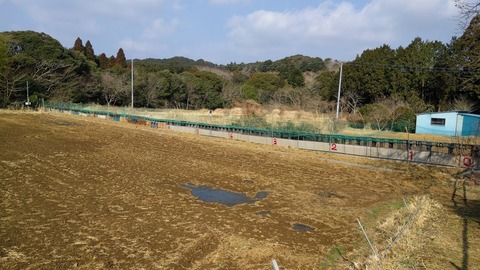 0304目印.jpg