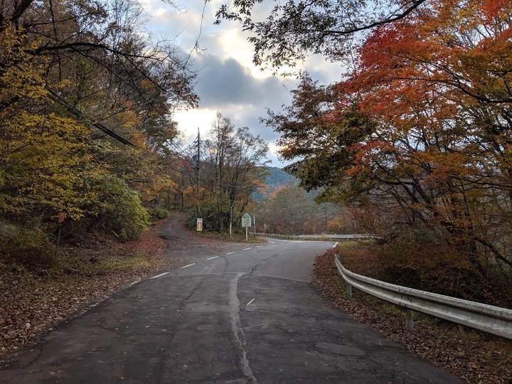 1109山の紅葉